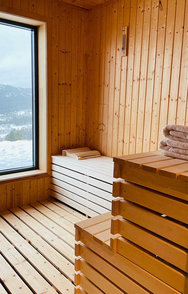 femtini-vakantiehuis-sauna-uit