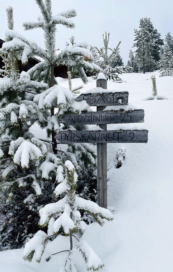 femtini-vakantiehuis-wandelrou