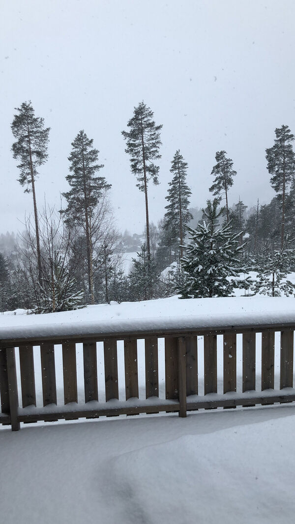 vradal-feriehus-femtini-winter