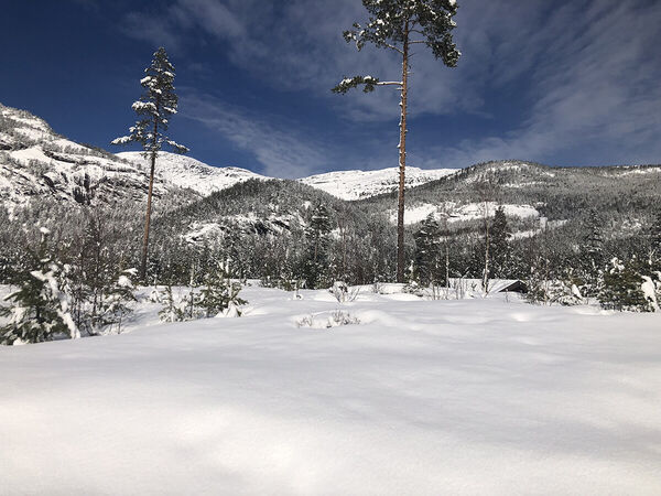 vradal-feriehus-femtini-winter