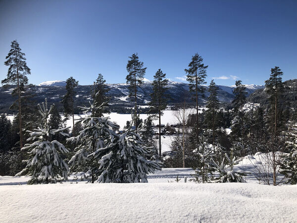 vradal-feriehus-femtini-winter