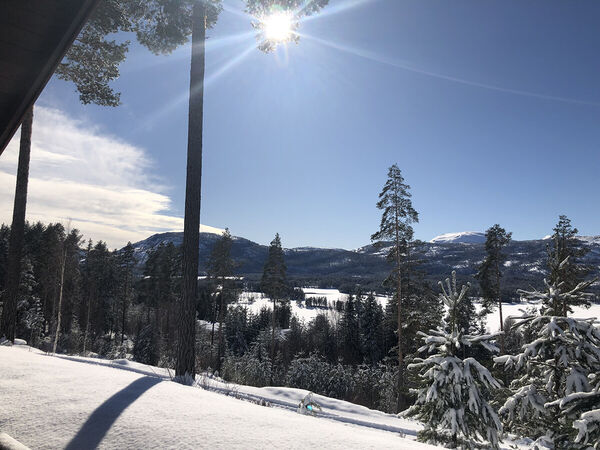 vradal-feriehus-femtini-winter