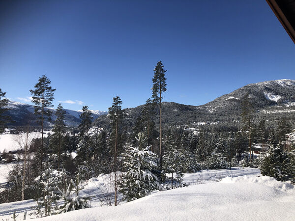 vradal-feriehus-femtini-winter