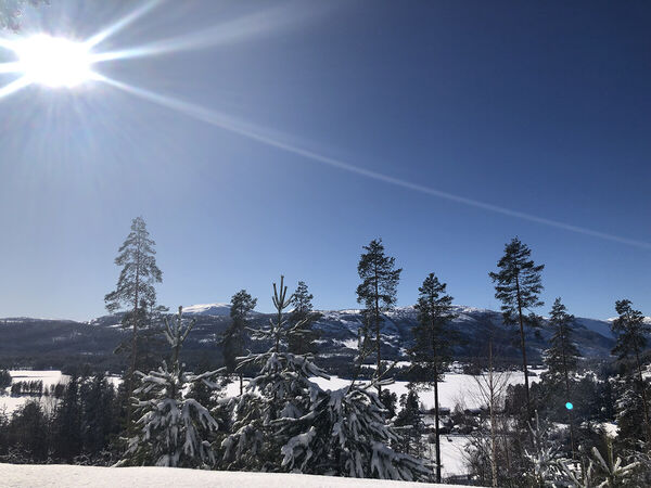 vradal-feriehus-femtini-winter