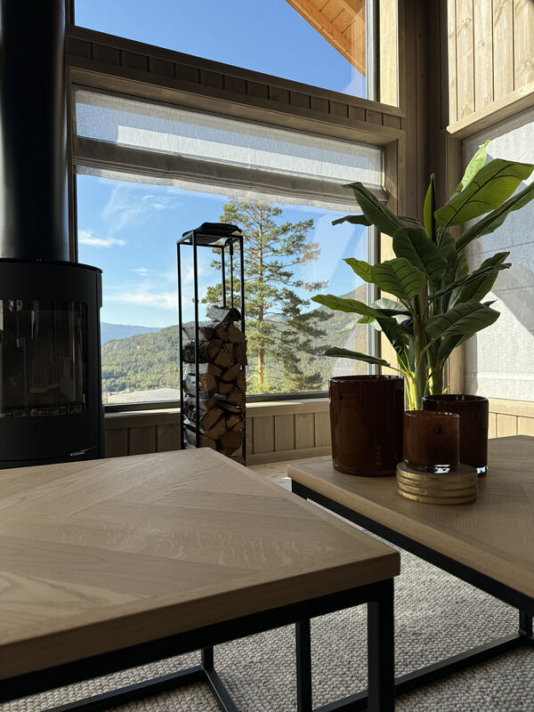 vradal-feriehus-femtini21